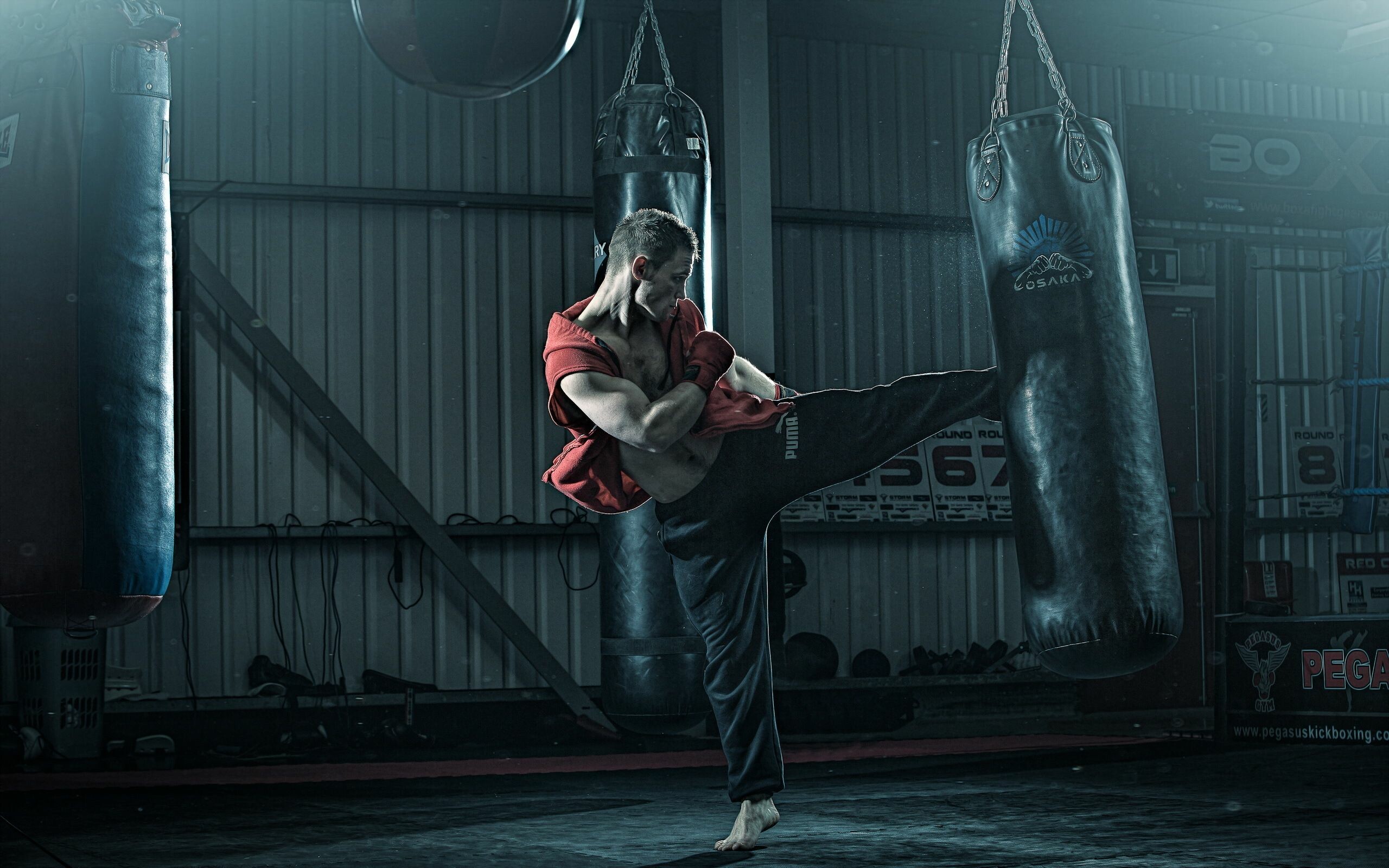 56+ Kickboxing Wallpapers: HD, 4K, 5K for PC and Mobile | Download free  images for iPhone, Android