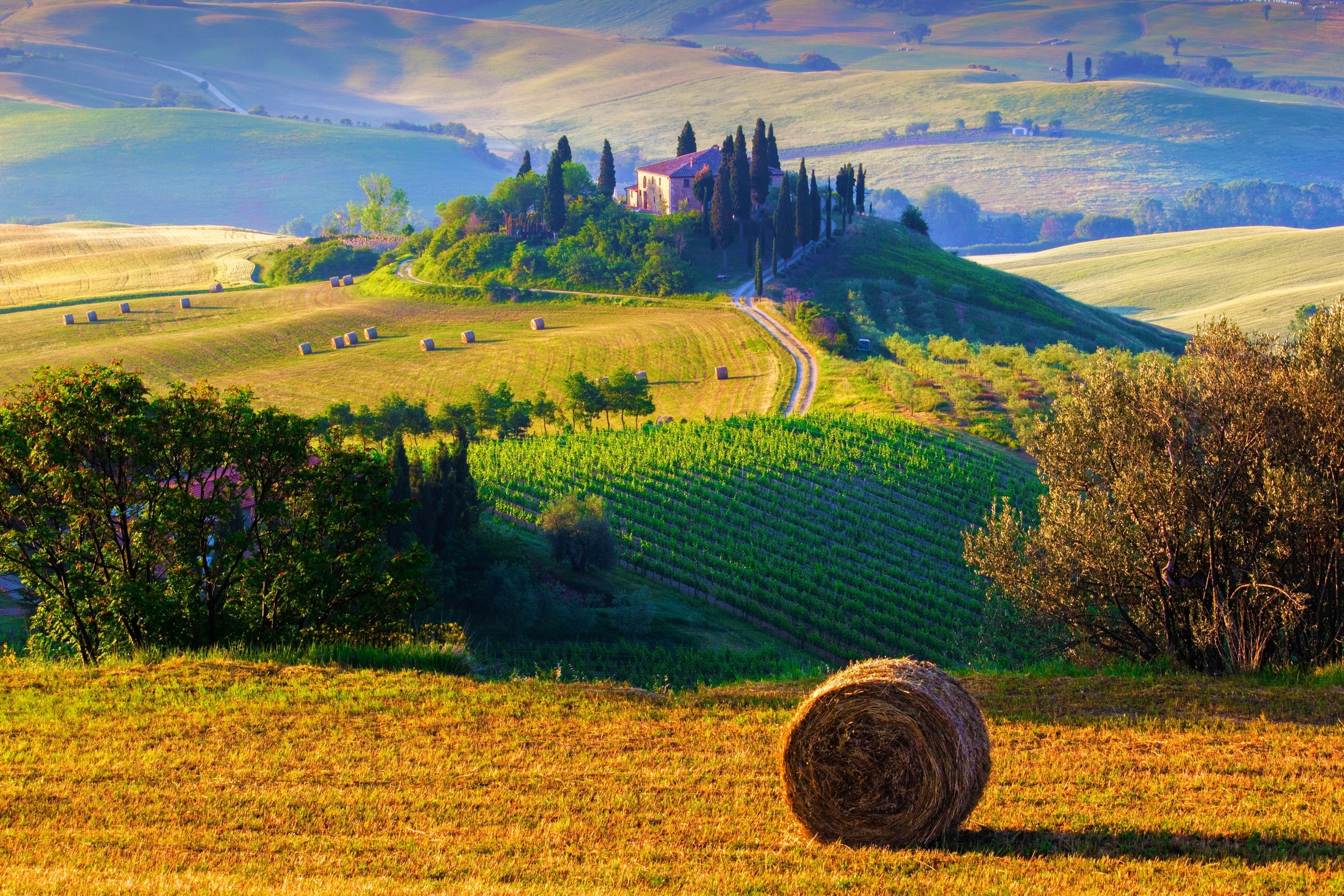 Wallpaper ID 336142  Photography Tuscany Phone Wallpaper Italy Field  1284x2778 free download