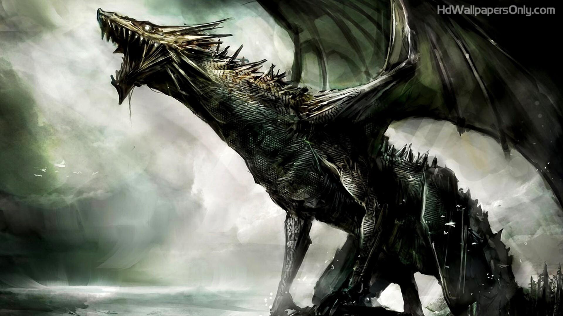 51+ Black Dragon Wallpapers: HD, 4K, 5K for PC and Mobile | Download free  images for iPhone, Android