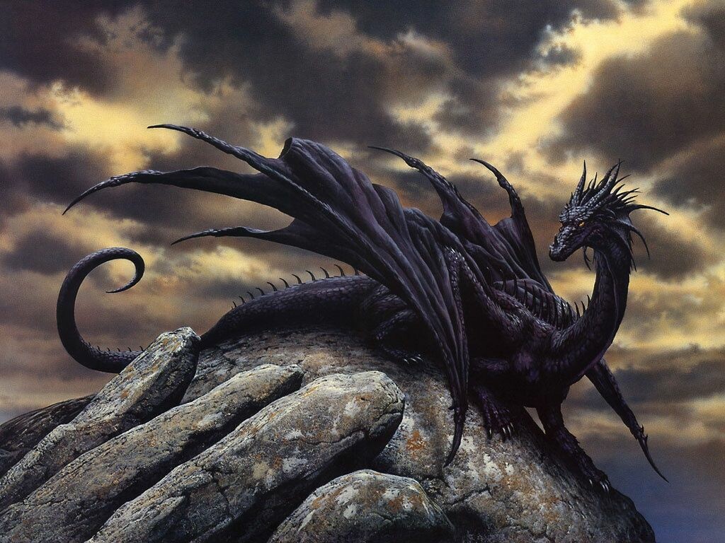 Dark Dragon Wallpaper  plingcom
