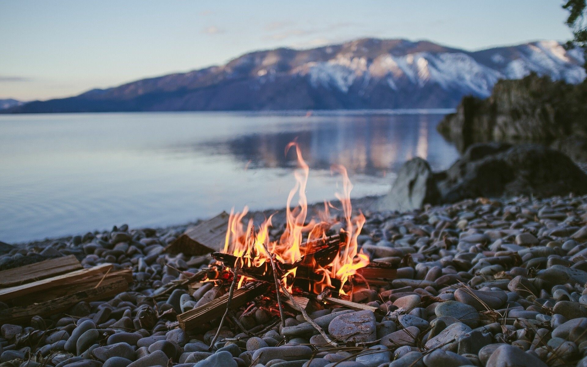 Free Images  fire flame heat bonfire campfire darkness computer  wallpaper night 4403x3398  Felix Mittermeier  1438739  Free stock  photos  PxHere