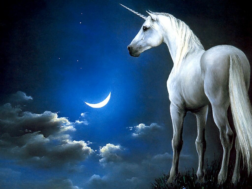White Unicorn In Motion Background Wallpapers For Androidrevealed 4k  Funny Unicorn Pictures Background Image And Wallpaper for Free Download