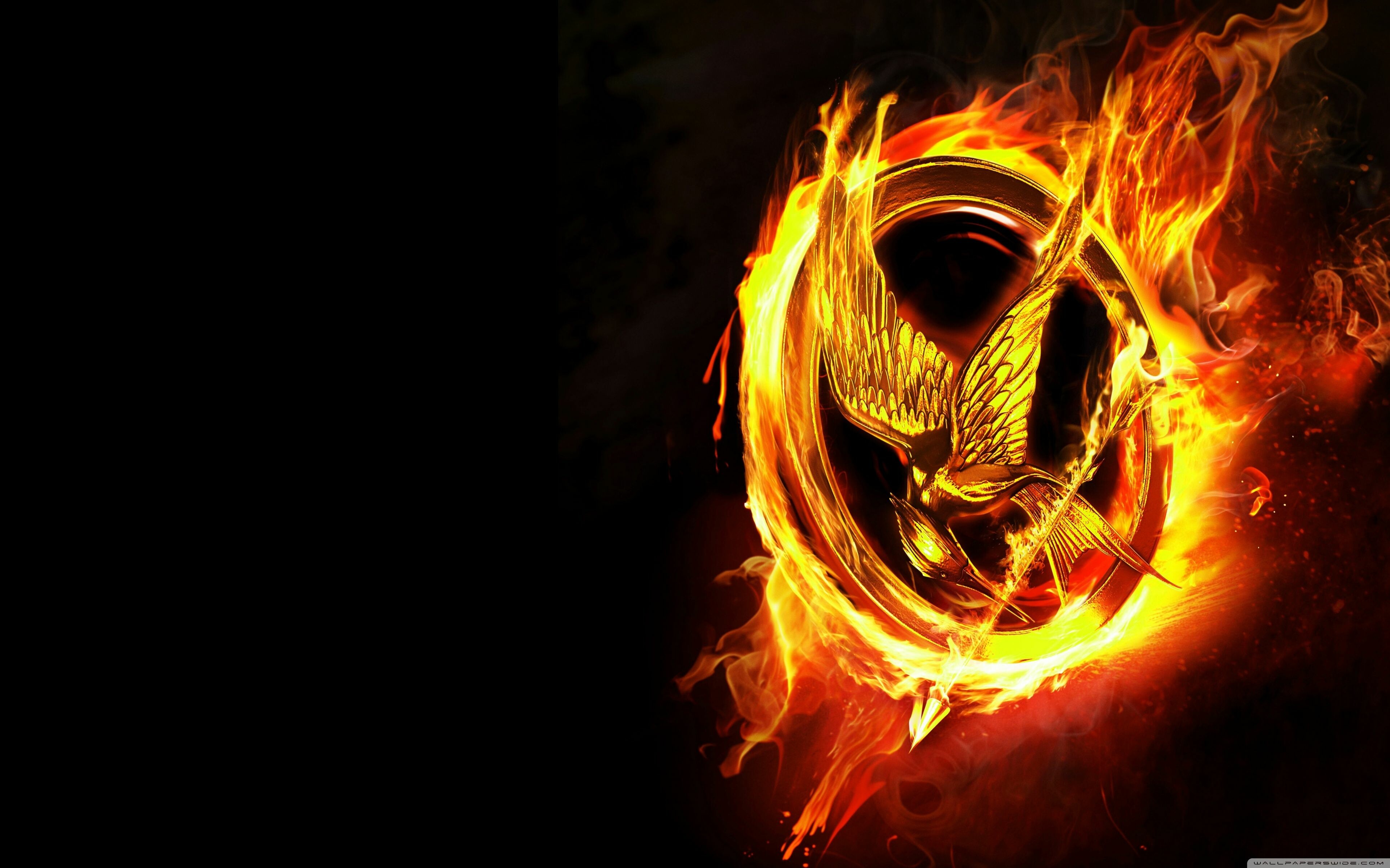 Wallpaper The Hunger Games Mockingjay  Part 2 Best Movies Effi trinket  Katniss Elizabeth Banks Jennifer Lawrence Movies 8169