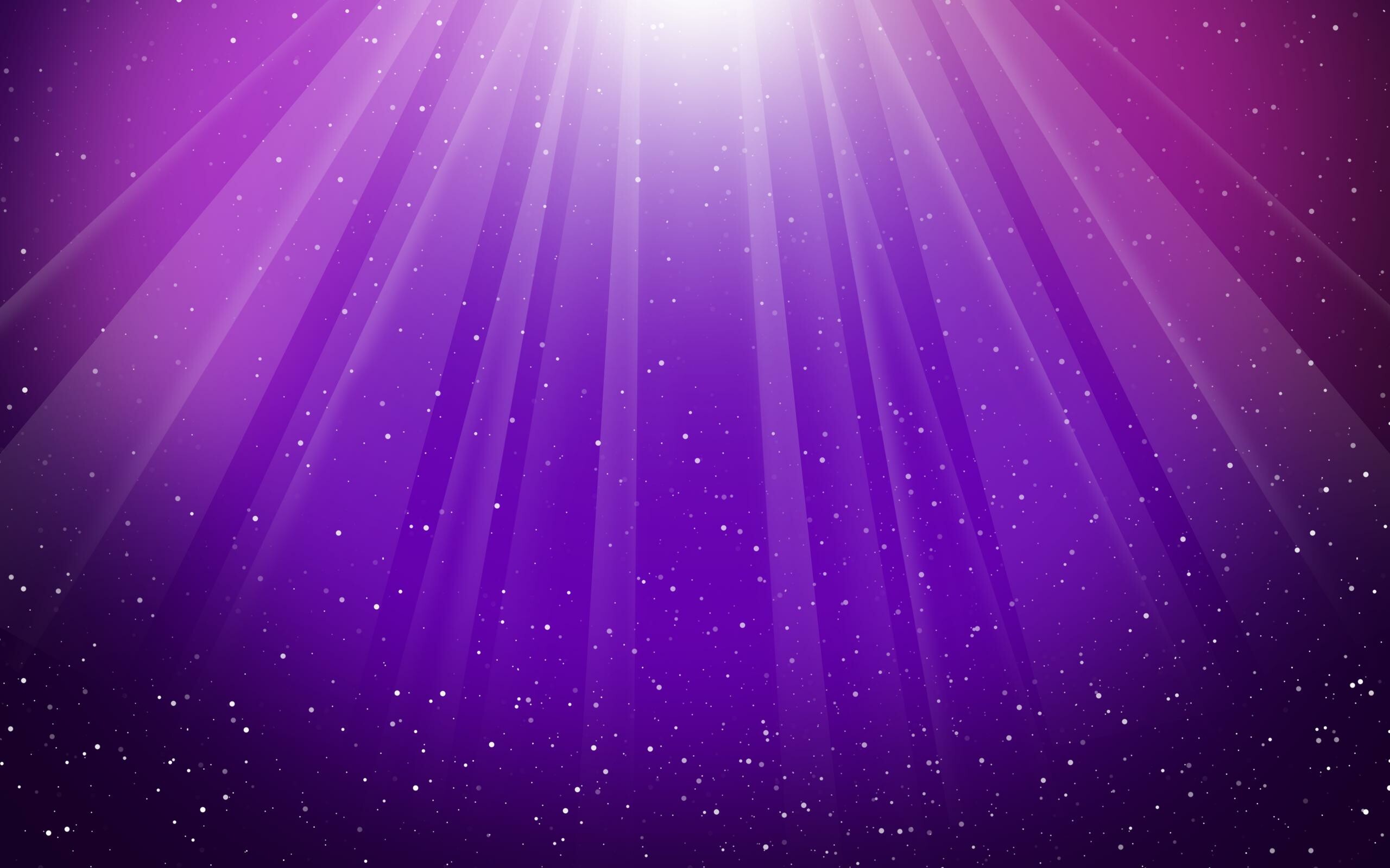 59+ Purple Wallpapers: HD, 4K, 5K for PC and Mobile | Download free images  for iPhone, Android