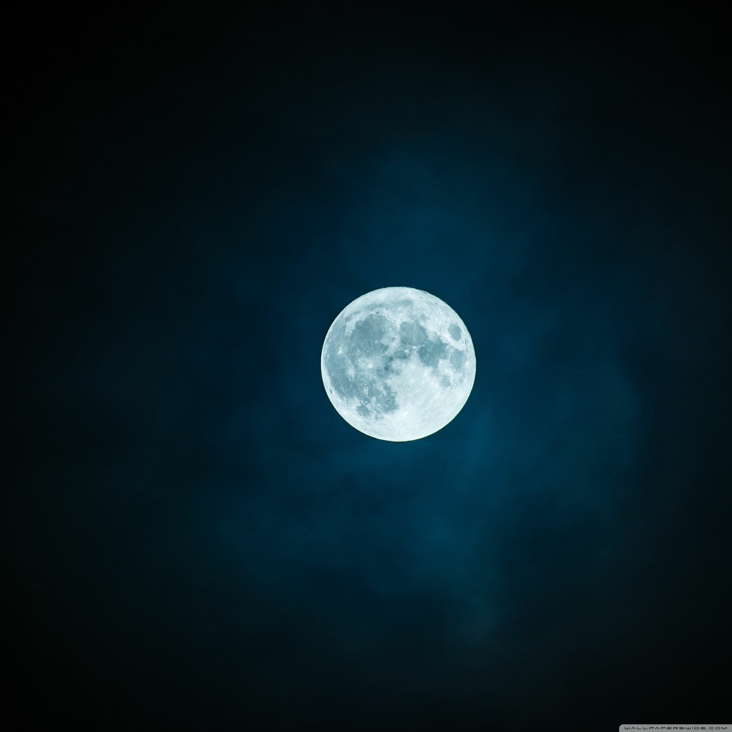 49+ Full Moon Wallpapers: HD, 4K, 5K for PC and Mobile | Download free  images for iPhone, Android
