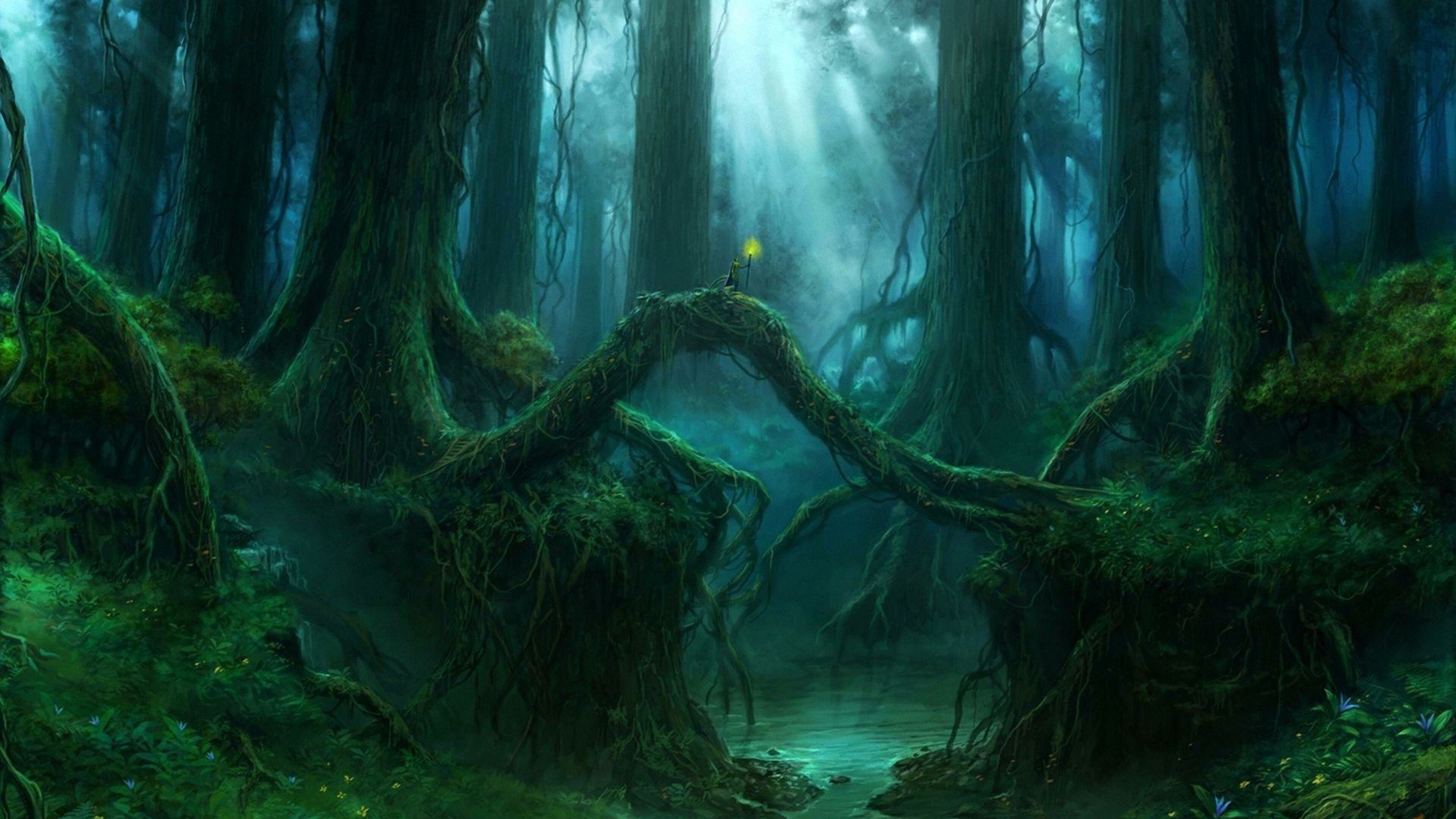 Free download Magical forest wallpaper Anime wallpapers 8608 1920x1200  for your Desktop Mobile  Tablet  Explore 30 Magic Forest Wallpapers   Orlando Magic Wallpapers Orlando Magic Wallpaper Magic Wallpaper