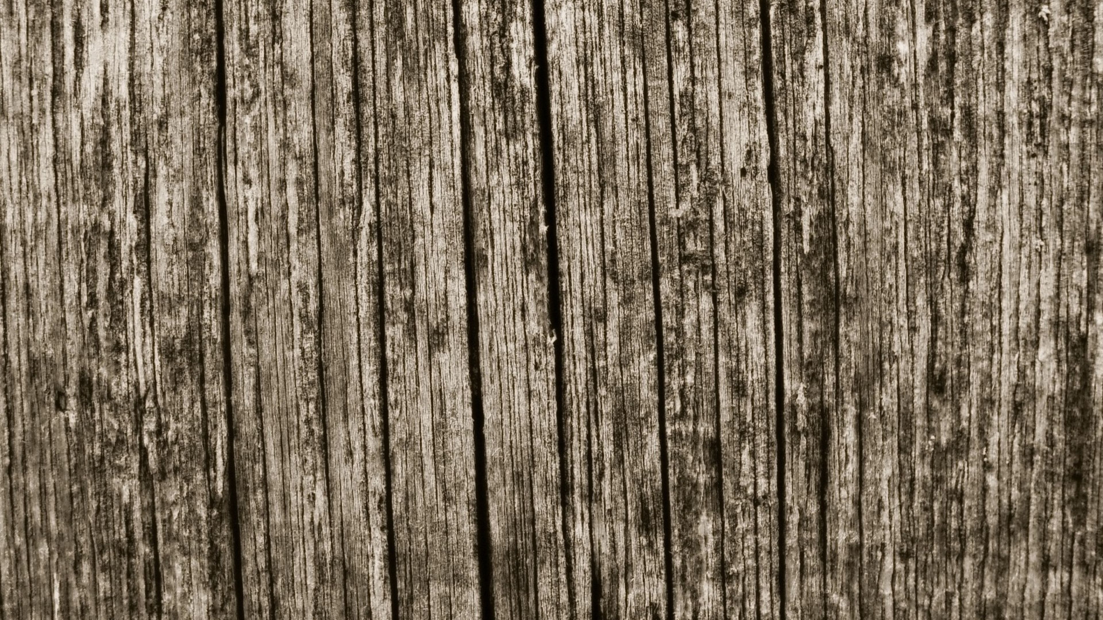 9+ 4K Wood Wallpapers: HD, 4K, 5K for PC and Mobile | Download free images  for iPhone, Android