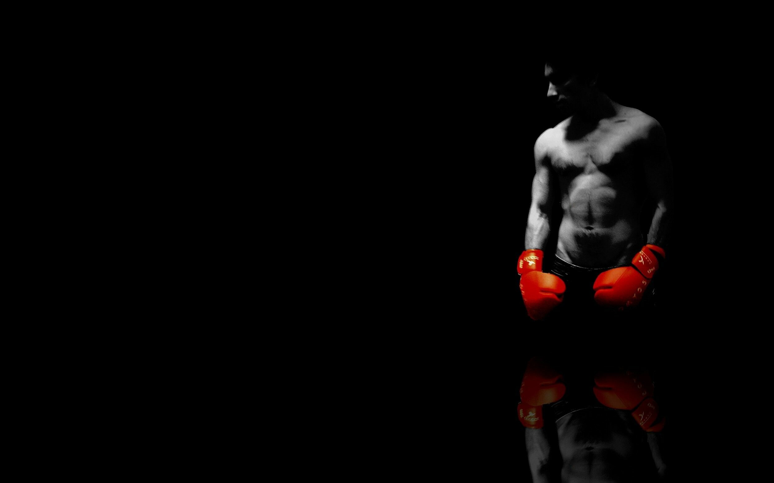 Boxing Gloves iPhone  Awesome HD phone wallpaper  Pxfuel