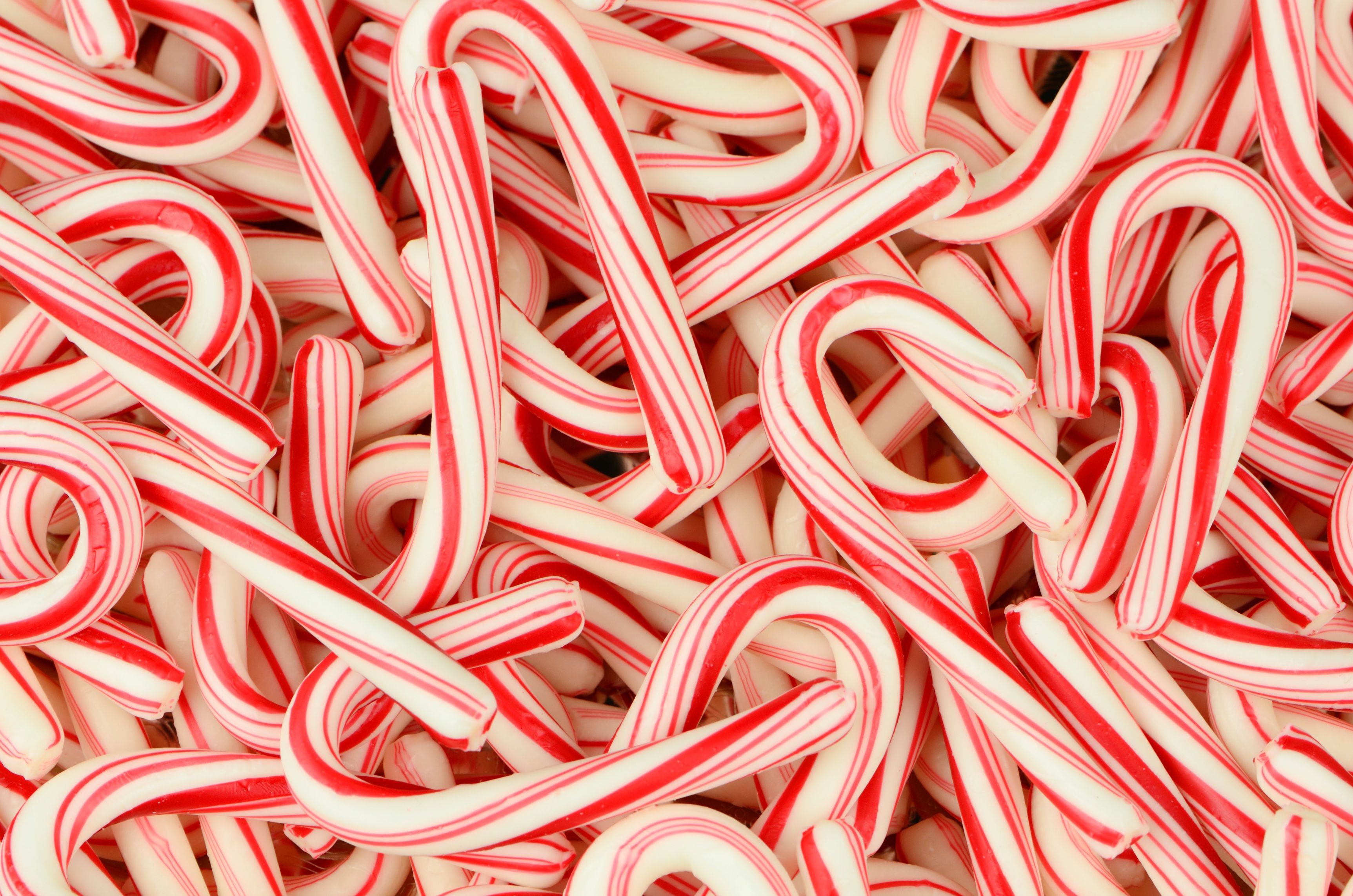 Candy canes 1080P 2K 4K 5K HD wallpapers free download  Wallpaper Flare