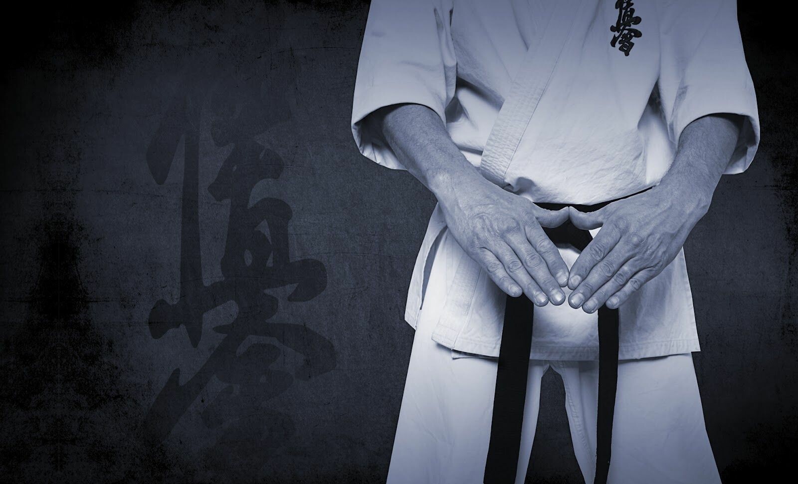 52+ Karate Wallpapers: HD, 4K, 5K for PC and Mobile | Download free images  for iPhone, Android