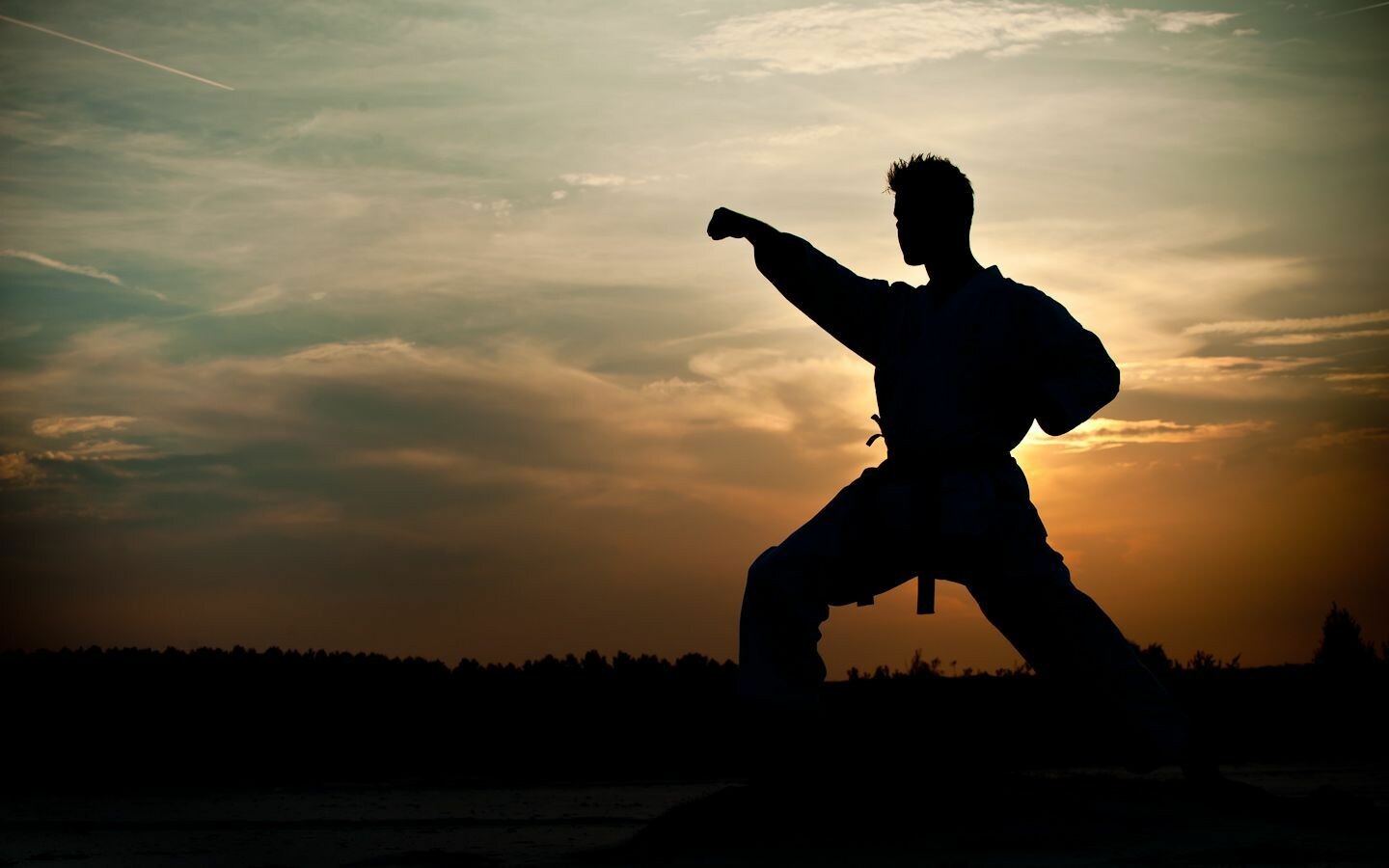 Karate 4K wallpapers for your desktop or mobile screen free and easy to  download