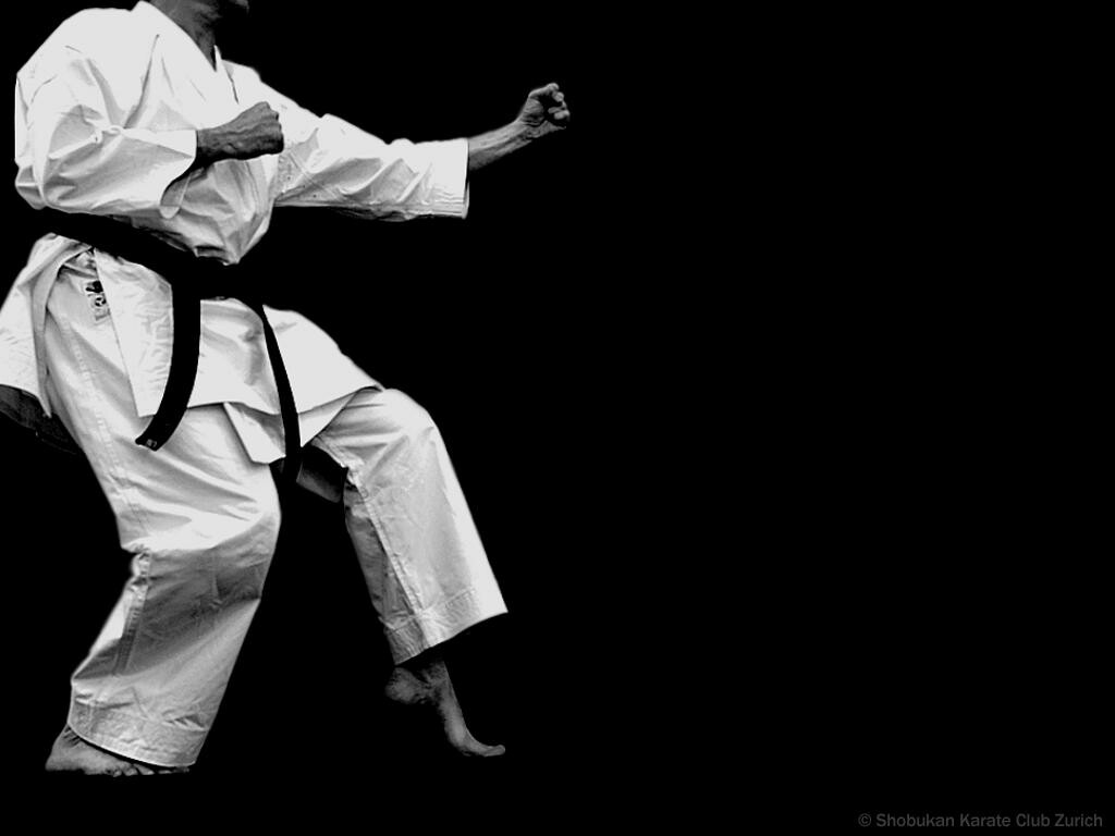 52+ Karate Wallpapers: HD, 4K, 5K for PC and Mobile | Download free images  for iPhone, Android