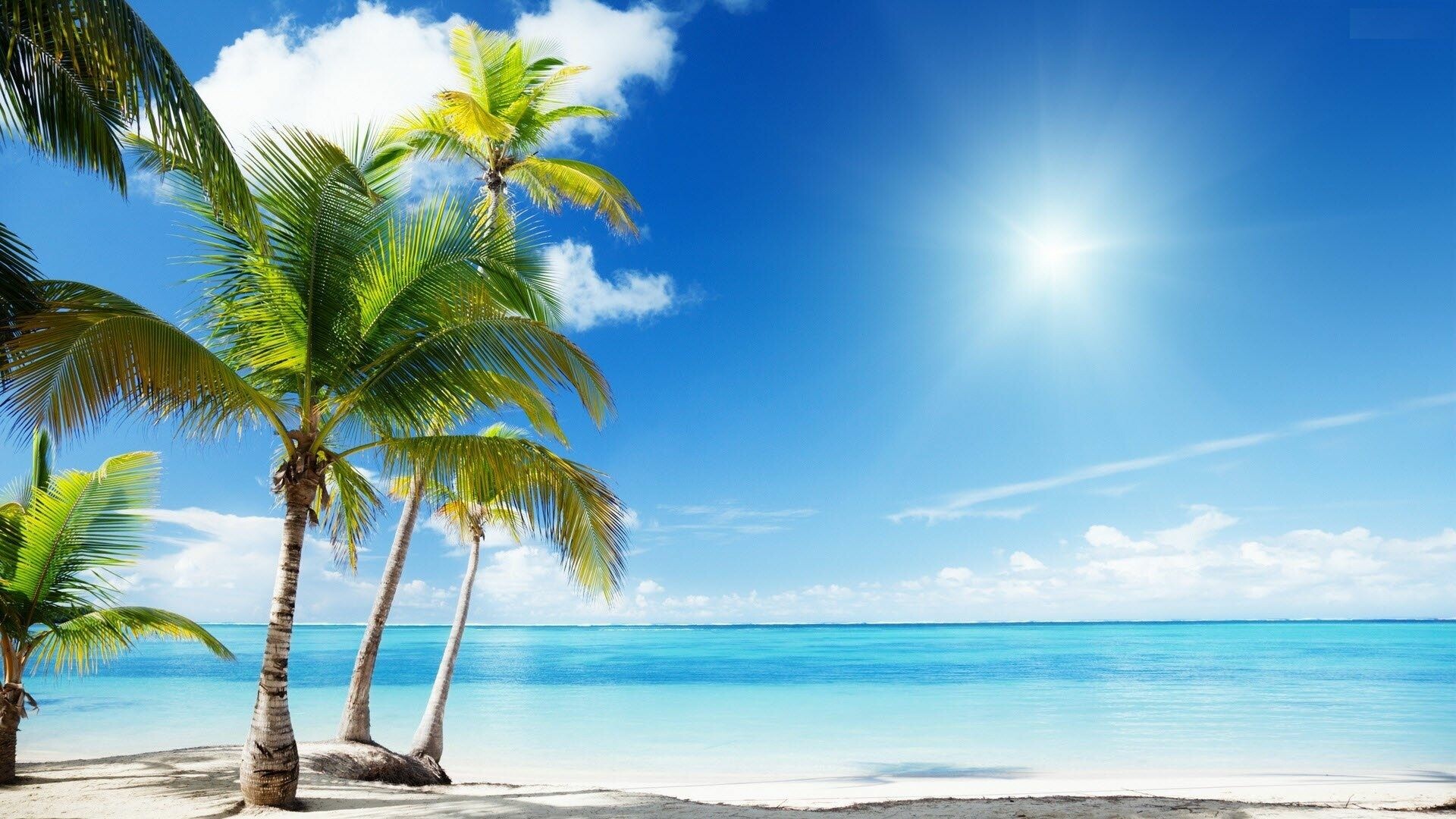 60 Tropical Beach Landscape Wallpapers HD 4K 5K for PC and Mobile   Download free images for iPhone Android