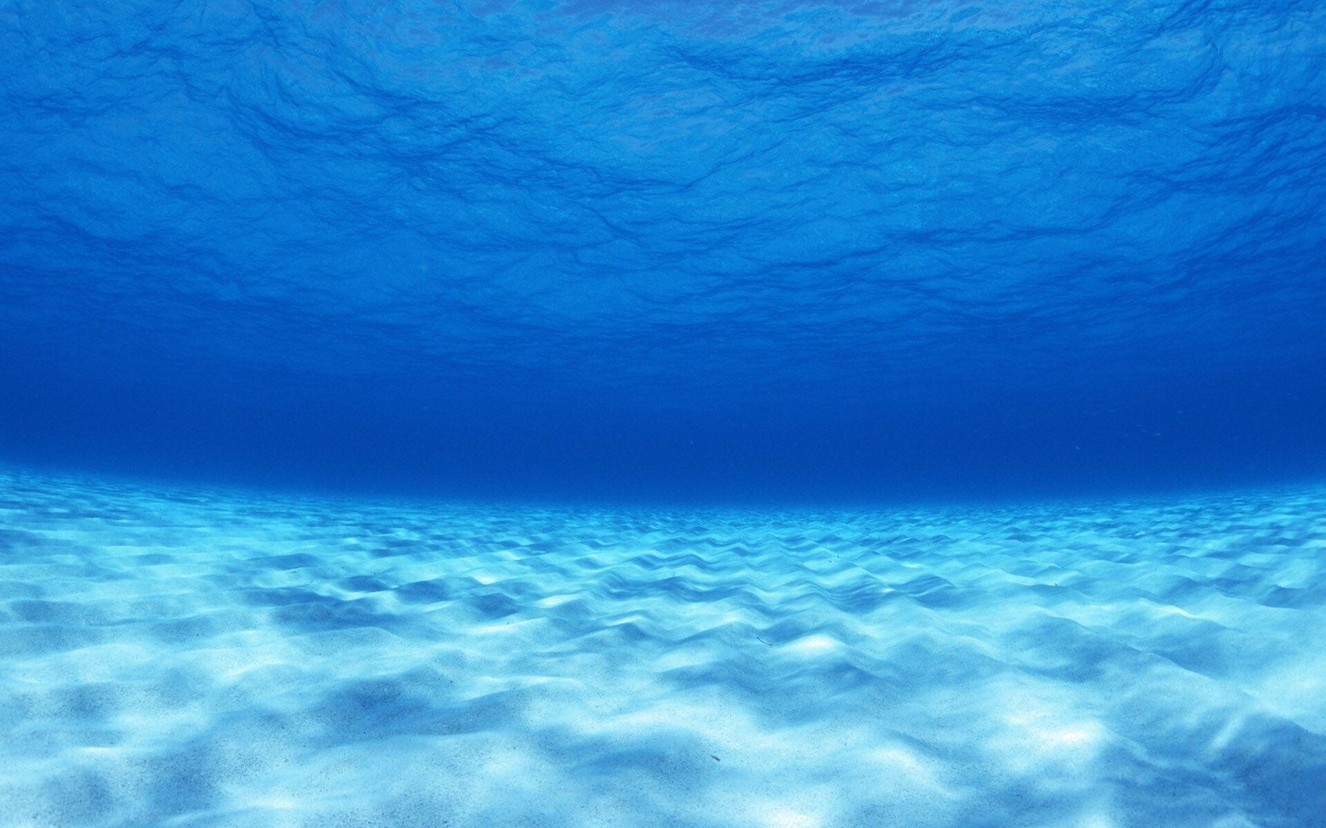 Underwater Wallpapers - Top Free Underwater Backgrounds - WallpaperAccess