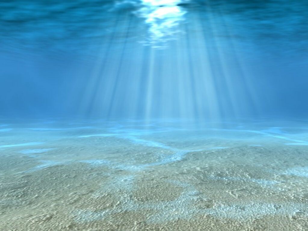 Cool Underwater Wallpapers - Top Free Cool Underwater Backgrounds -  WallpaperAccess