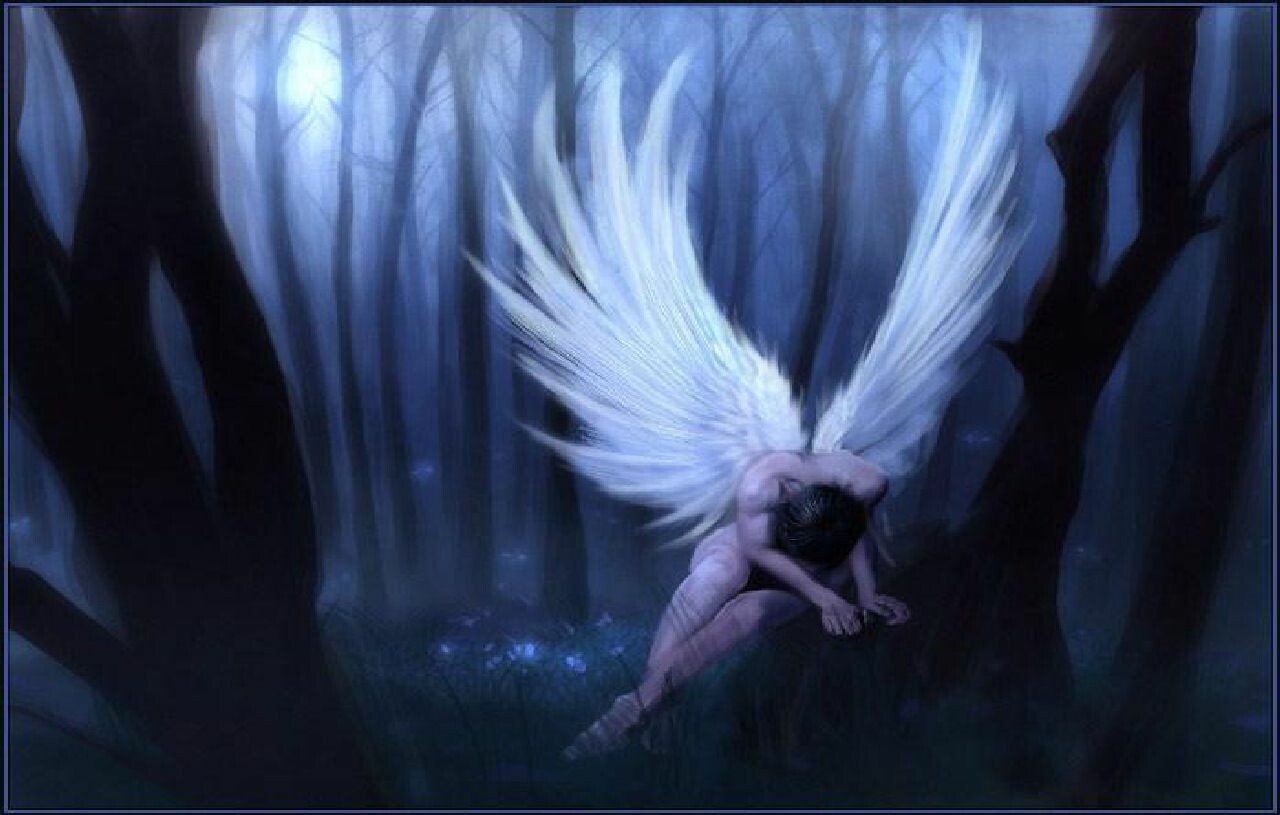 Young angel, fairies, angel, fantasy, angels HD wallpaper | Pxfuel