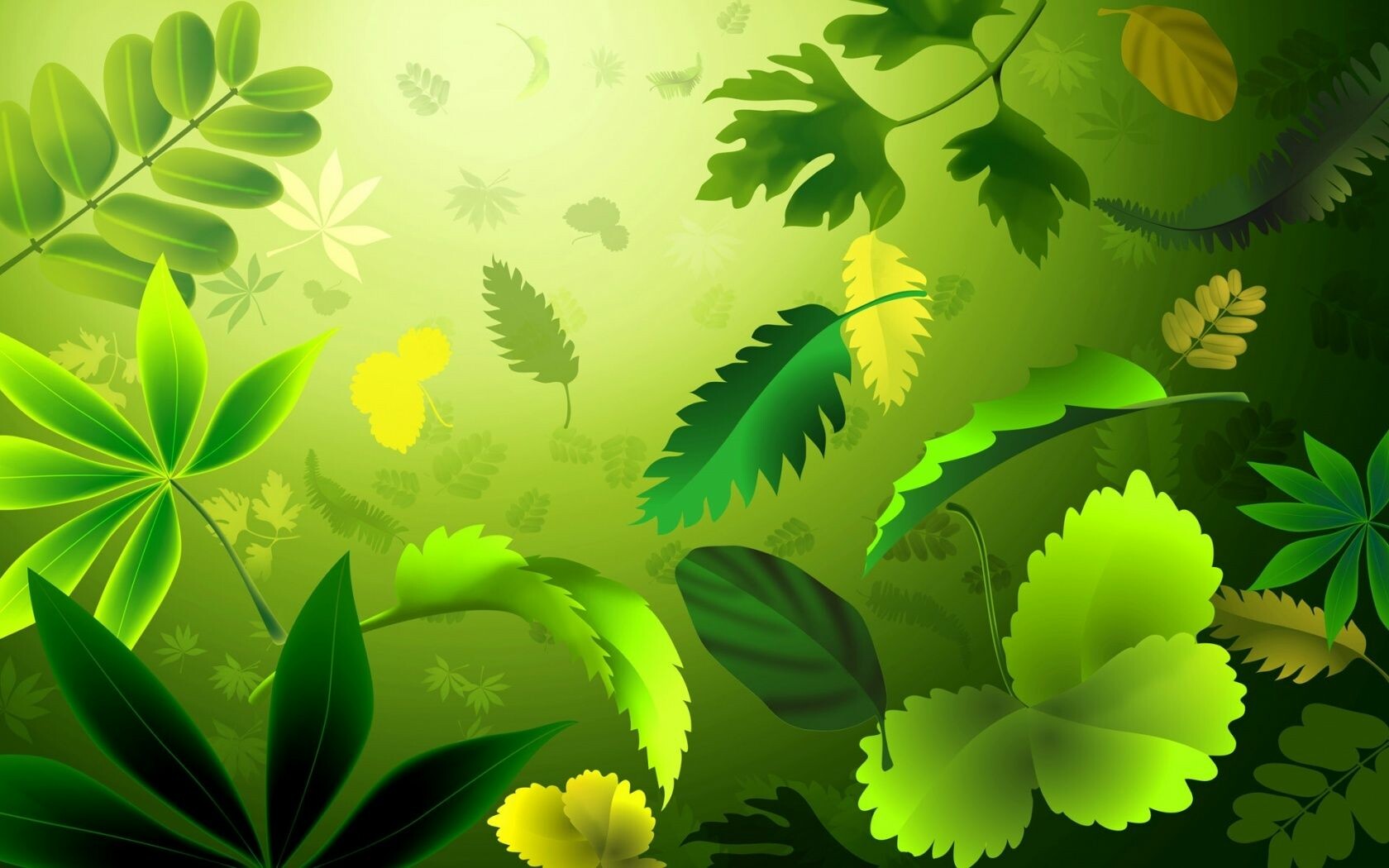 44+ Green Wallpapers: HD, 4K, 5K for PC and Mobile | Download free images  for iPhone, Android