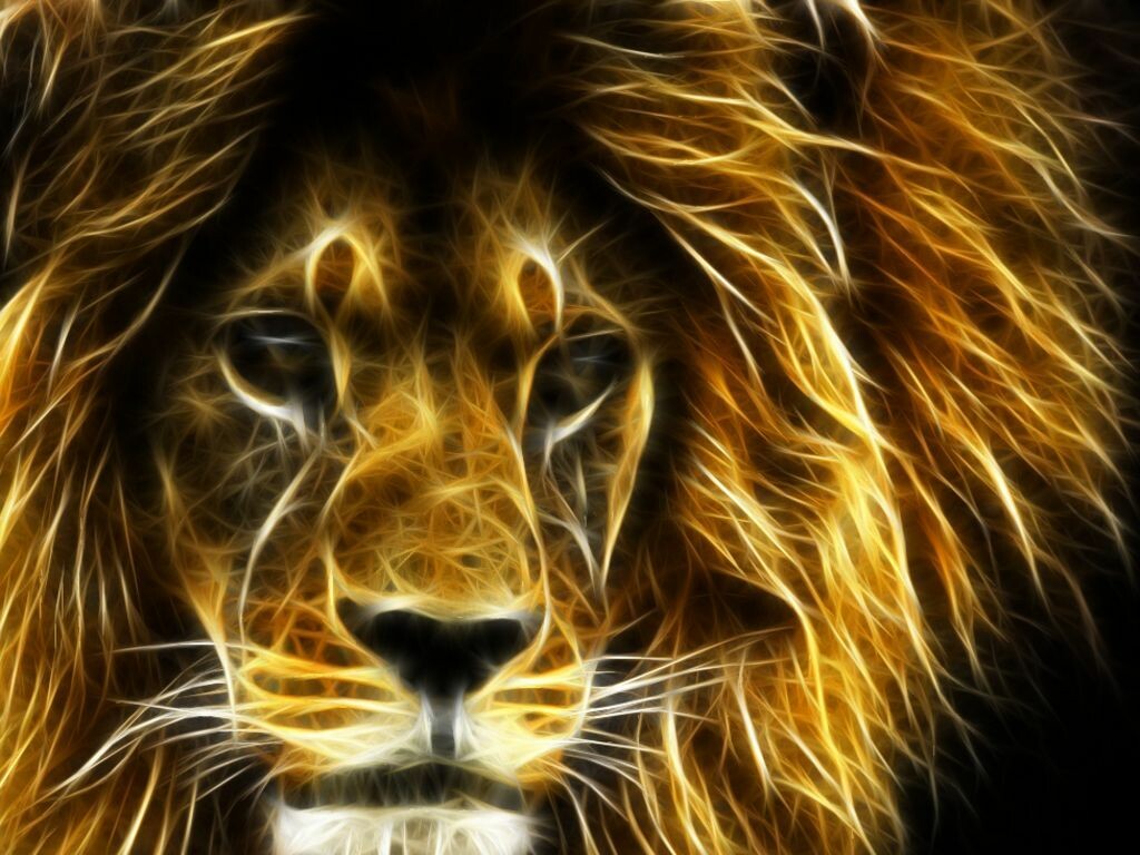 Lion Wallpaper - EnJpg