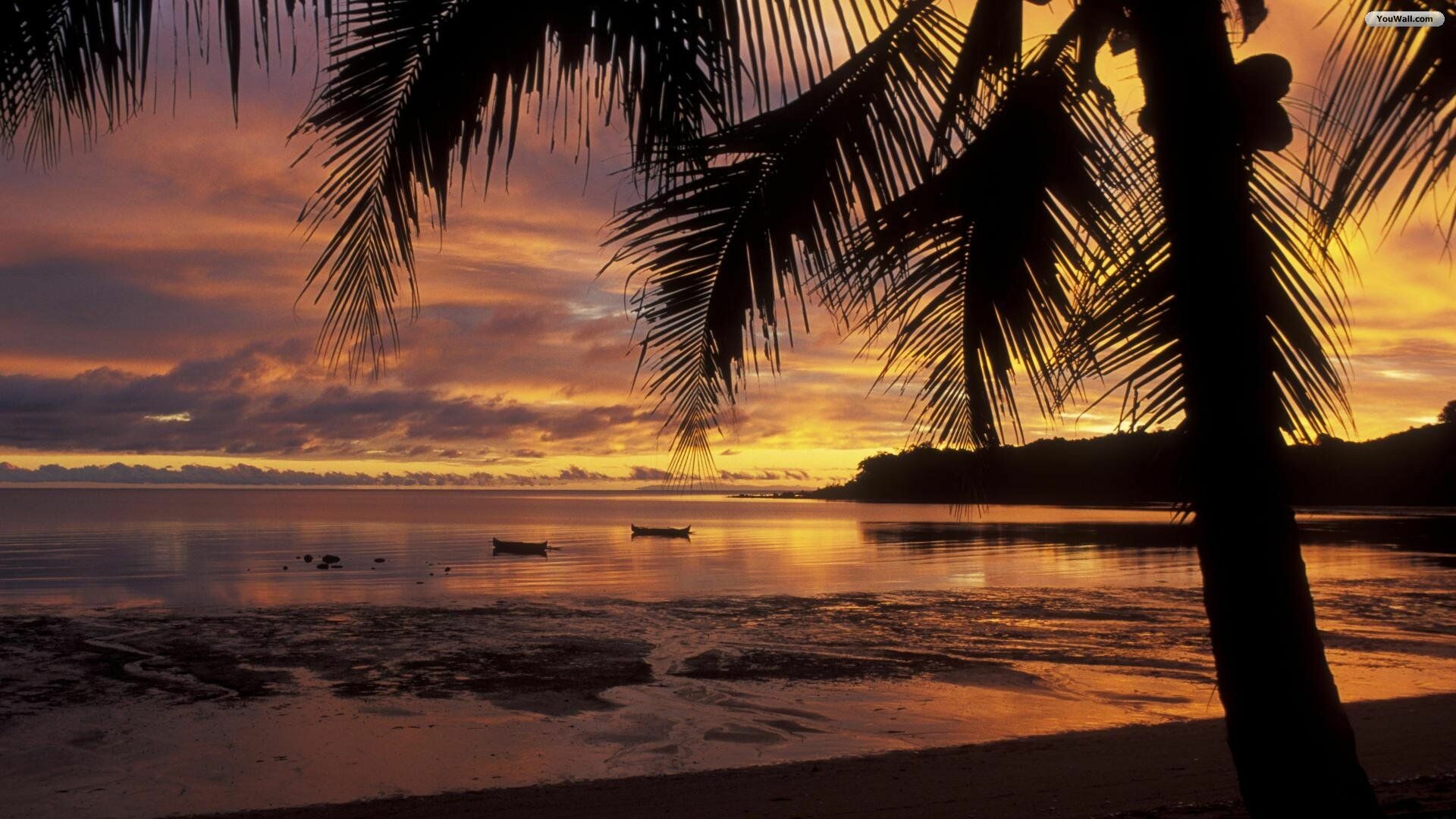 Beautiful Beach Sunset 4K Wallpaper iPhone HD Phone #6510f