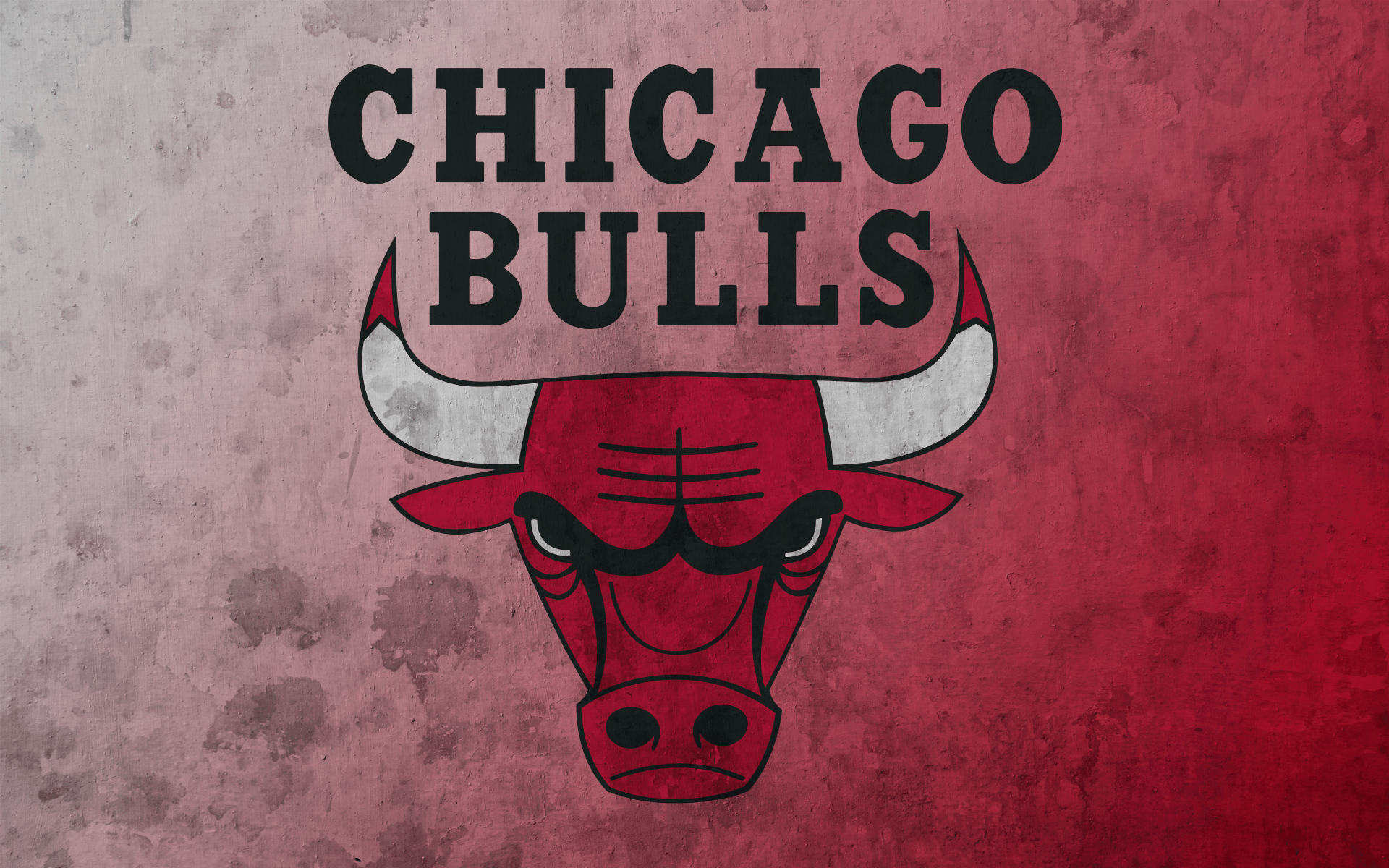 bull logo wallpaper