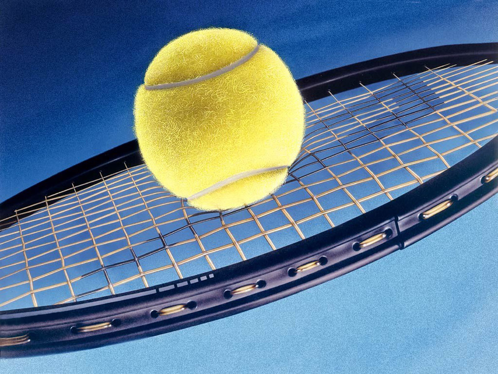 Tennis Wallpapers  Wallpaper Cave