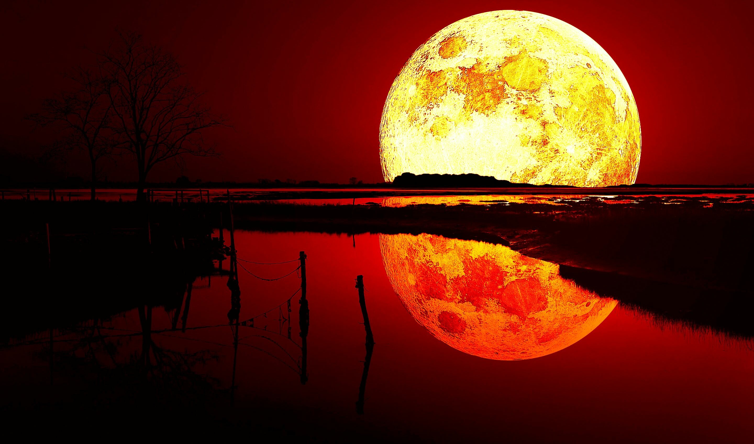 HD wallpaper red moon black blood moon nature astrophotography  outdoors  Wallpaper Flare