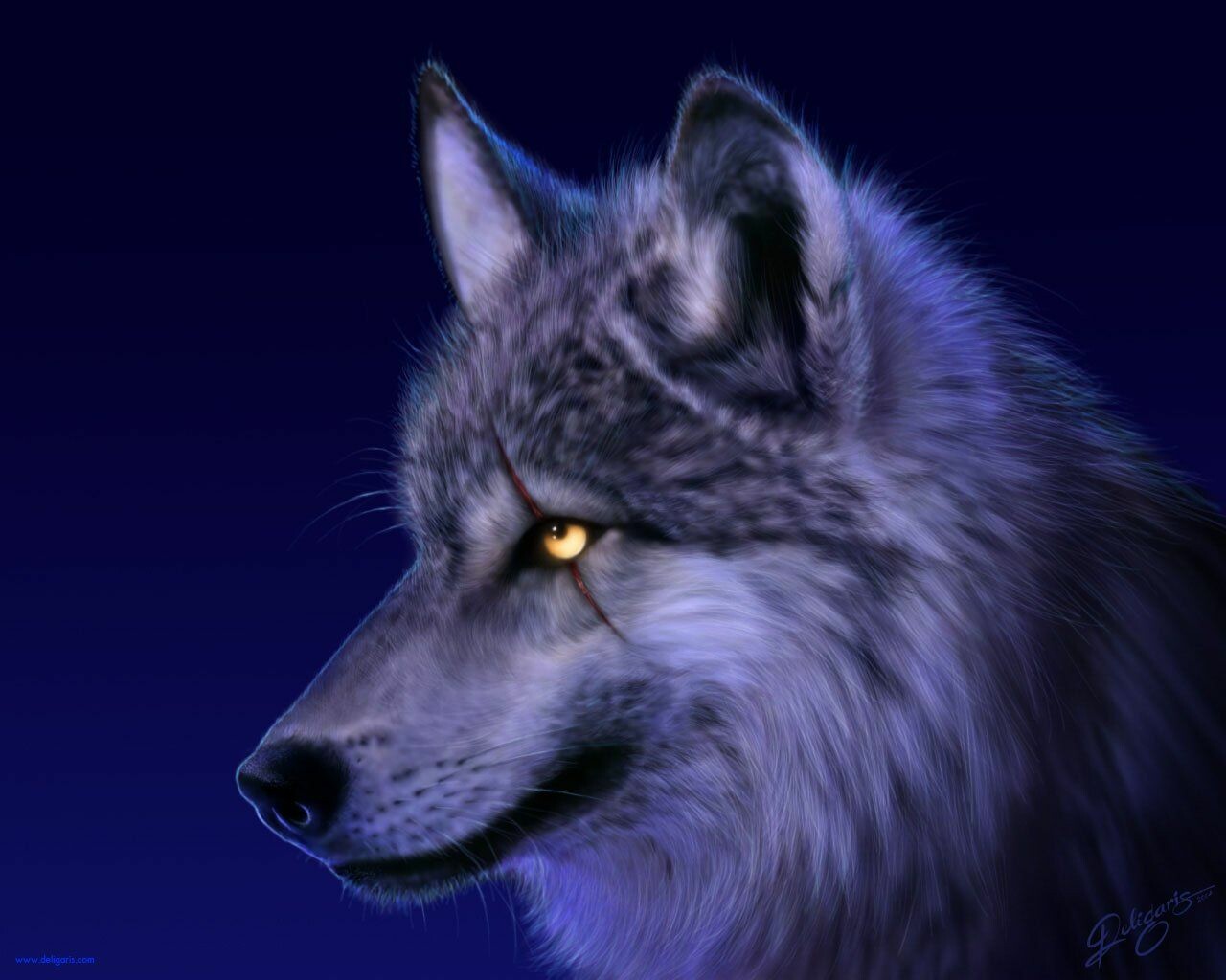 Gray Wolf Wallpapers (44+ images inside)